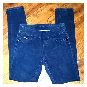 Perfect Fit Bluberry Jeans